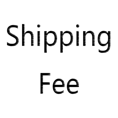 Shipping Fee Rokid (Japan)