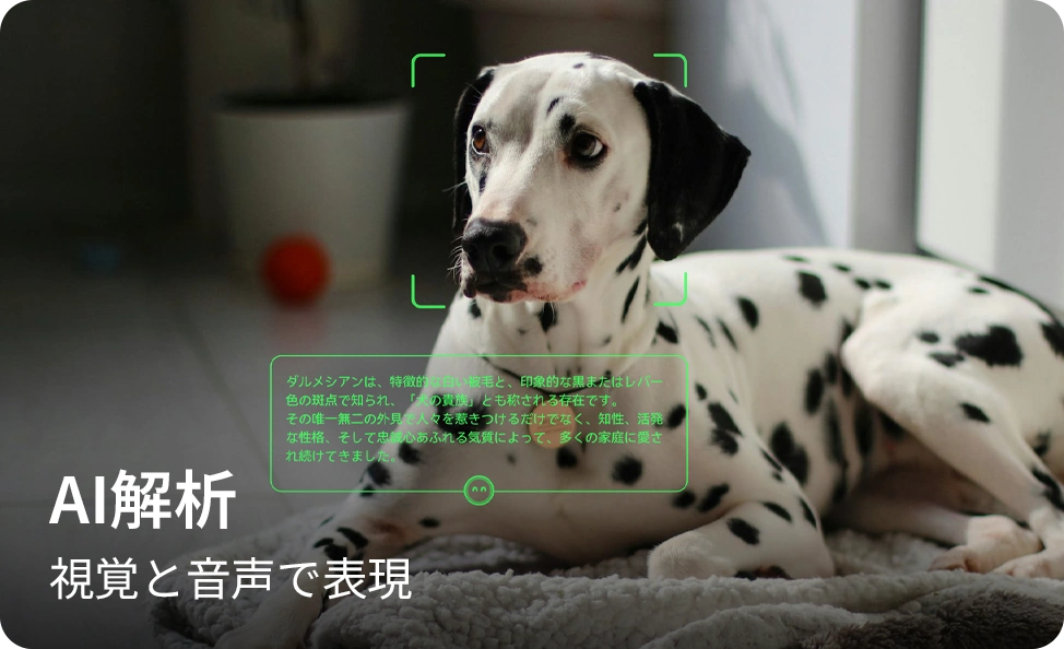 AI解析。視覚と音声で表現